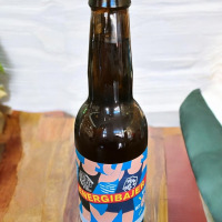 Pivo nealko Mikkeller Energibajer 330ml