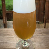 kasteel Xtra 0,4l - capovane