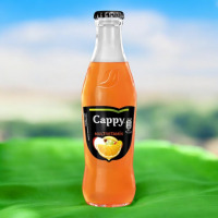 Cappy multi 0,2l